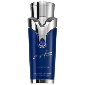 Armaf Magnificent Blue Pour Homme EDP 100 ml